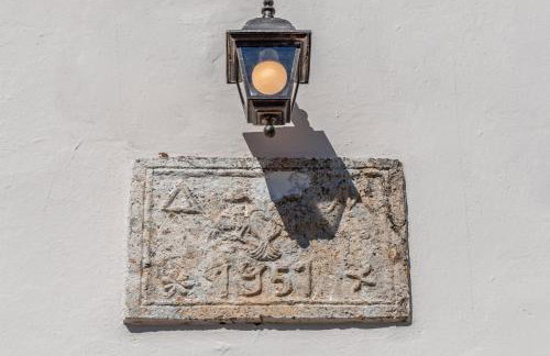 Sempreviva - Foto 43