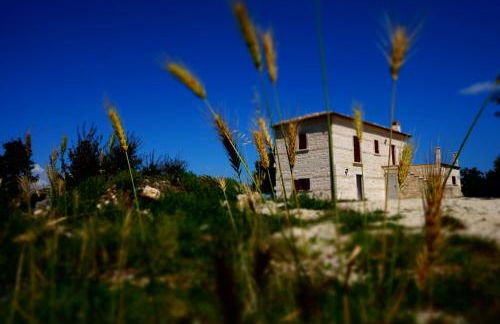 Pezzelelle - Foto 13