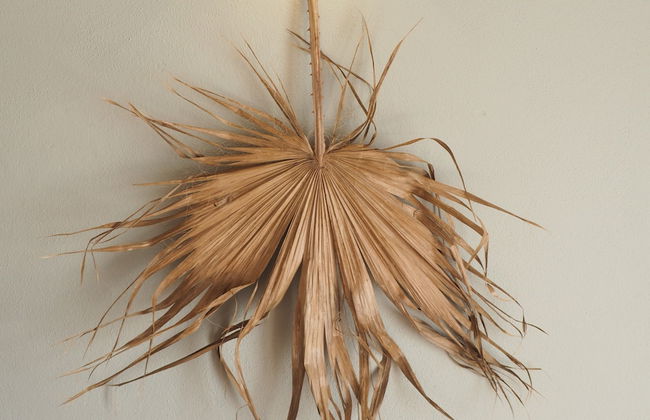 Hotel Llucatx Menorca - Photo 11