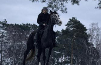 Vigor Horses - Foto 32