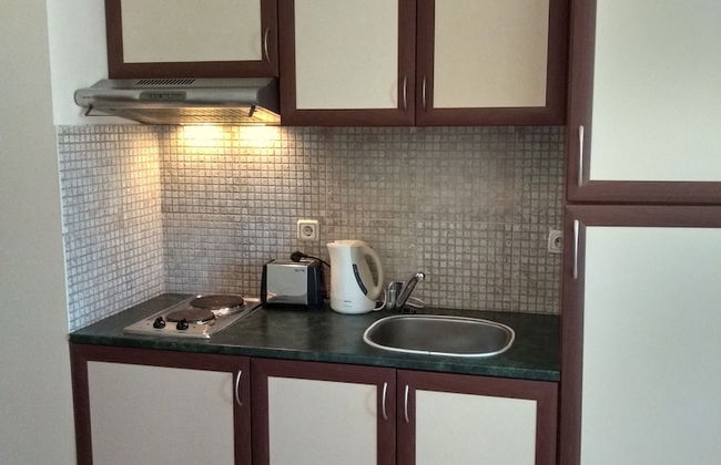 TSB Sunny Victory Apartments - Photo 13