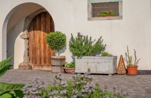 Weingut Lahn zu Eppan - Foto 22