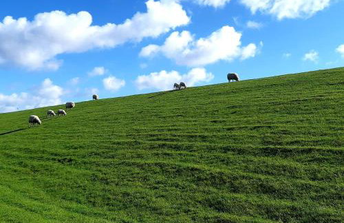 Tammwarftshof - Foto 44