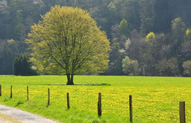 La conciergerie - Photo 38