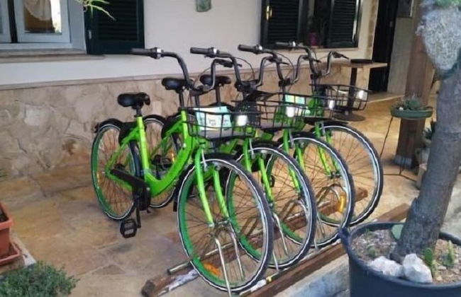 Gecko's House - Foto 15