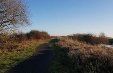 Amazingly quiet and peaceful studio getaway. - Foto 18