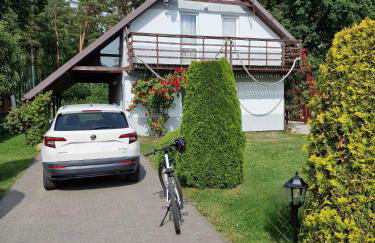 Nina Kopalino - Foto 1