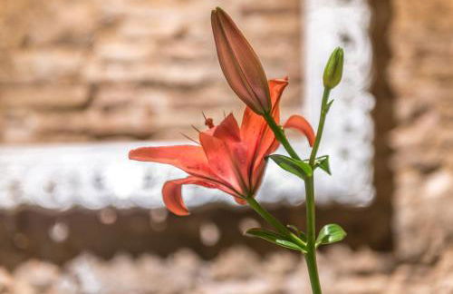 Apartaments Ciutat Vella - Foto 46