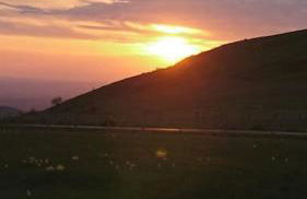 Chez Philopin - Foto 53