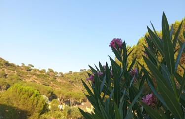 Villa Rosa Amparo - Foto 32