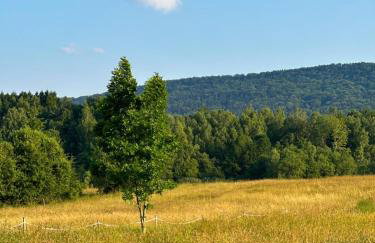 BiesCzadowa Dolina - Foto 45