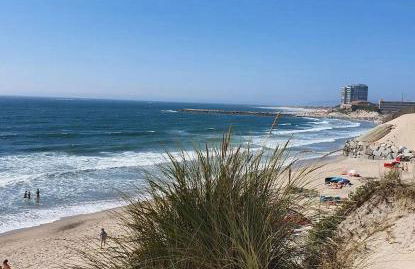 Varandas do Pinhal - Photo 14