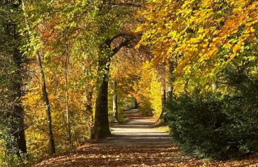 Soleils Living I See & Berge I Starnberger See - Foto 42