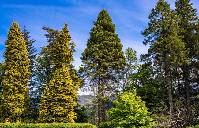 The Highland Club - Foto 62