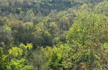 The Vista - Foto 34