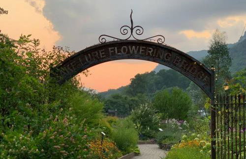 Log Cabin Walkable to Lake Lure & Chimney Rock - Blue Skies - Foto 7