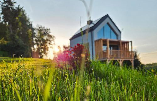 Cienista Dolina - Foto 1