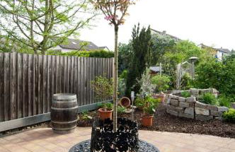 FeWo-Schwarzer - Foto 27