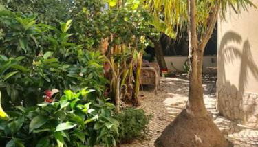 Villa Ávilla. Luxo e Charme. - Foto 4, Garden