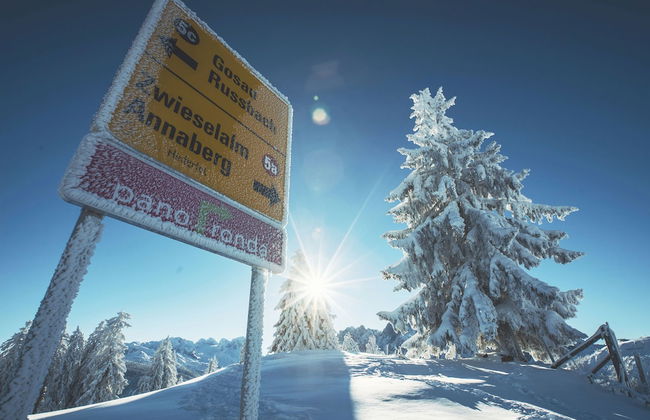 Landhaus St. Georg - Foto 8