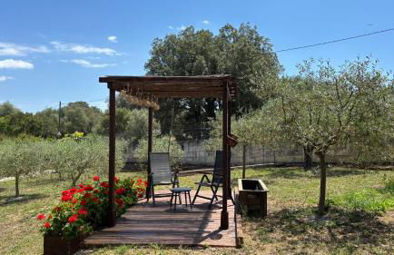Finca Sa Cova de Mallorca - Foto 46