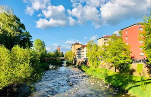 Goldstadt Comfort Suite - City Apartment Schlössle - Foto 48