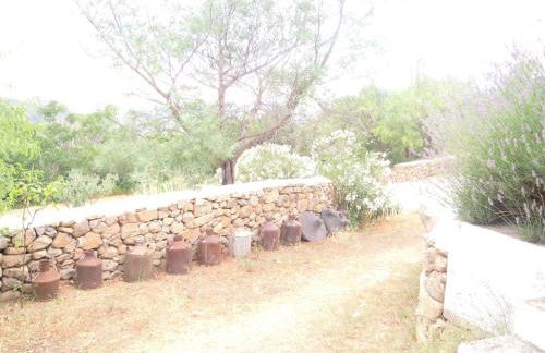 Agriturismo Camisadu - Foto 68