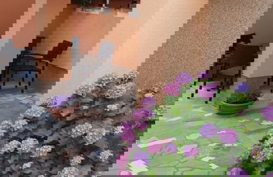 Apartment Kalin - Photo 13