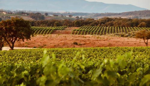 I Puntoni Agriturismo - Foto 2