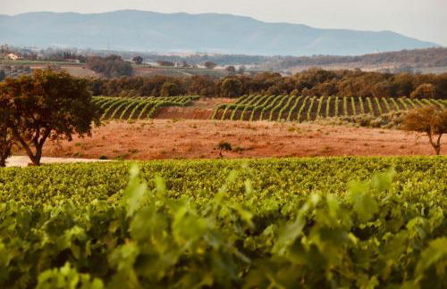 I Puntoni Agriturismo - Foto 2