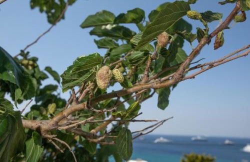 Seethrough Mykonos Suites - Foto 39