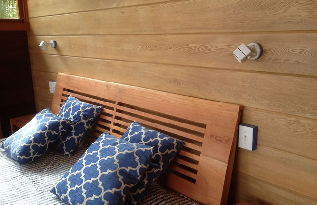 Residencia Natural - Photo 10