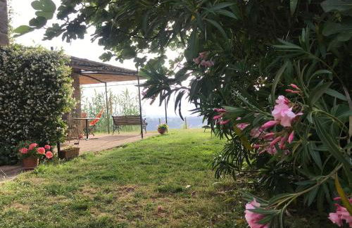 Podere Porcino - Foto 63