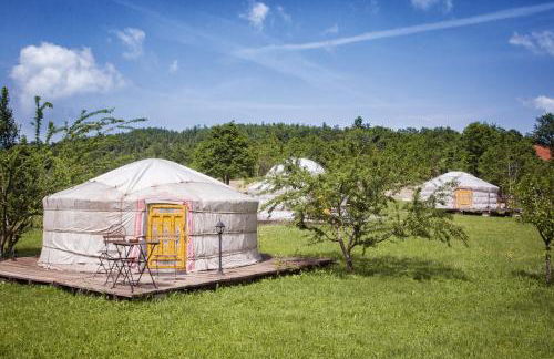 Società Agricola Cacigolara - Photo 9