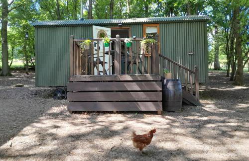 Little Greenwood Shepherd Hut - Sleeps 2 - Foto 1