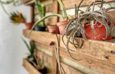 Casa Nina - Photo 12