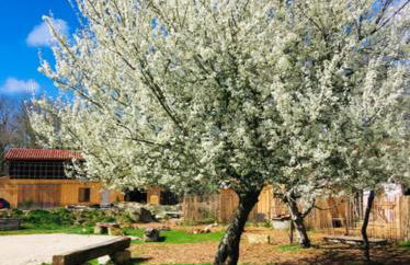 LES VACANCES AUX CERCINS - Foto 24