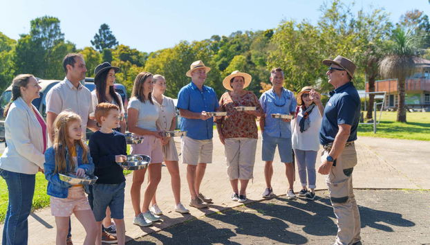 Lamington National Park + O'Reilly's Vineyard Tour - Foto 3