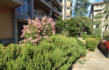 Oasis Apartment - Pontassieve Guest House 2 - 20 minuti da Firenze - Foto 38