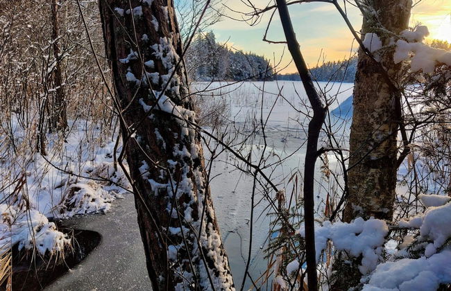 4 Person Holiday Home in Rejmyre-by Traum - Foto 9