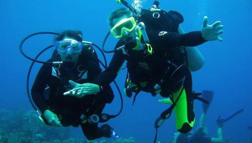 Tropical Daze Oceanfront Paradise - Foto 3