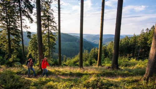 Ferienwohnung im Zentrum Brilons - Foto 3