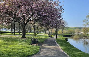 1 Chatsworth Riverscape Apartments - Riverview apartment in great location with free parking overlooking the Gannel just a short walk from Newquays incredible beaches and local amenities - Foto 33