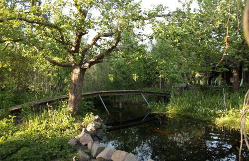 Große Ferienwohnung in Peetzig am See - Foto 43