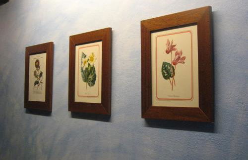 Agriturismo Villani Poderi Nesti & Cupoli - Photo 53