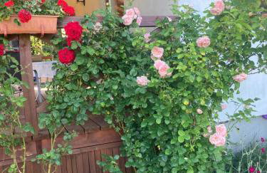 Dom w Sąpach - Foto 49