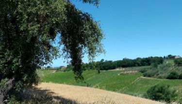 Alloggio Casale Stella - Foto 5