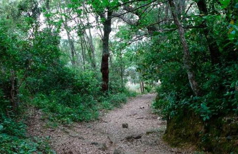 Casa con encanto el Castaño- Casa del Agua - Foto 35
