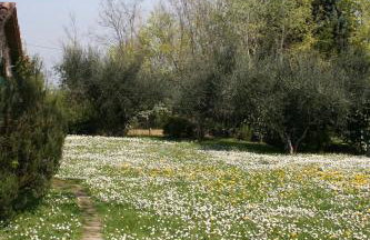 Locanda Della Fortuna - Foto 20