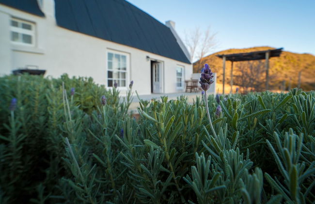 De Kombuys Estate - Foto 41